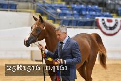 25R1516_04161 thumbnail