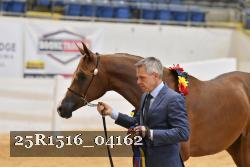 25R1516_04162 thumbnail