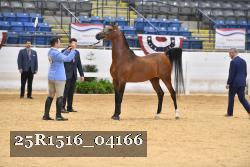 25R1516_04166 thumbnail