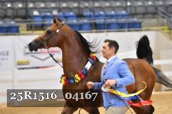 25R1516_04167 thumbnail