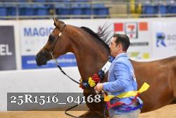 25R1516_04168 thumbnail