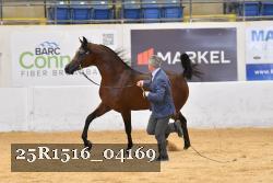 25R1516_04169 thumbnail