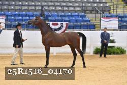 25R1516_04170 thumbnail