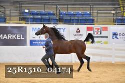25R1516_04174 thumbnail