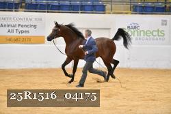 25R1516_04175 thumbnail