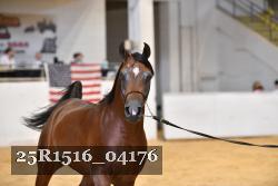 25R1516_04176 thumbnail