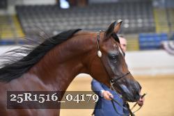 25R1516_04179 thumbnail