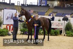 25R1516_04180 thumbnail