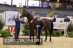 25R1516_04181 thumbnail