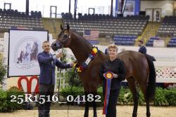 25R1516_04182 thumbnail