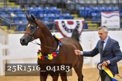 25R1516_04183 thumbnail
