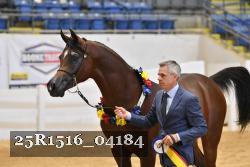 25R1516_04184 thumbnail