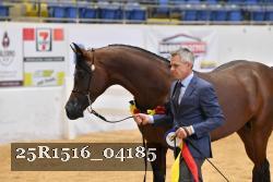 25R1516_04185 thumbnail