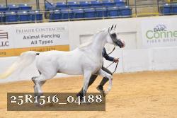 25R1516_04188 thumbnail