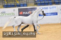25R1516_04189 thumbnail