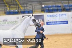 25R1516_04190 thumbnail