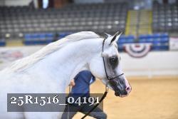 25R1516_04191 thumbnail