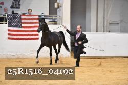 25R1516_04192 thumbnail
