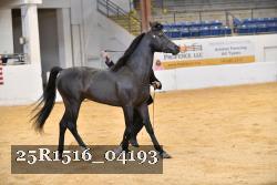 25R1516_04193 thumbnail