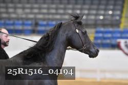 25R1516_04194 thumbnail