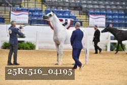 25R1516_04195 thumbnail