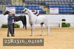 25R1516_04198 thumbnail