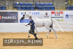 25R1516_04199 thumbnail