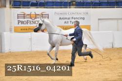 25R1516_04201 thumbnail