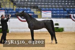 25R1516_04202 thumbnail