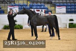 25R1516_04206 thumbnail