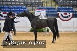 25R1516_04207 thumbnail
