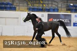 25R1516_04208 thumbnail