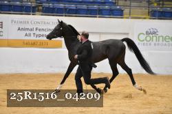 25R1516_04209 thumbnail