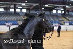 25R1516_04211 thumbnail