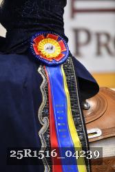 25R1516_04239 thumbnail