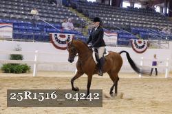 25R1516_04242 thumbnail