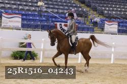 25R1516_04243 thumbnail