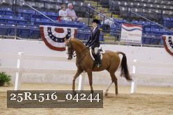 25R1516_04244 thumbnail