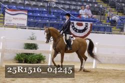 25R1516_04245 thumbnail