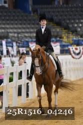 25R1516_04246 thumbnail