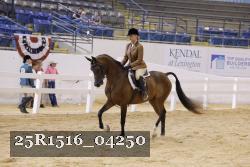 25R1516_04250 thumbnail