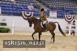 25R1516_04251 thumbnail