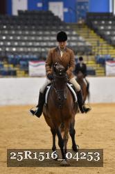 25R1516_04253 thumbnail