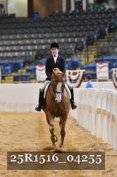 25R1516_04255 thumbnail