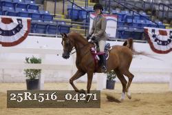 25R1516_04271 thumbnail