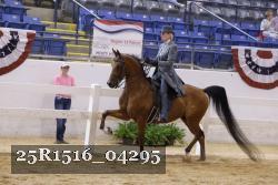 25R1516_04295 thumbnail