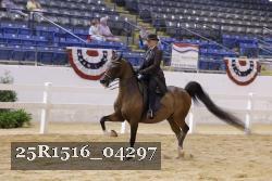 25R1516_04297 thumbnail