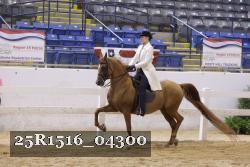 25R1516_04300 thumbnail