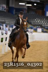 25R1516_04302 thumbnail