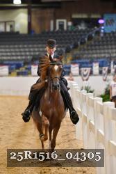 25R1516_04305 thumbnail